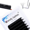 Volume Eyelash Easy Fan Lash Extensions C&D Curl 12 Row Customized Logo